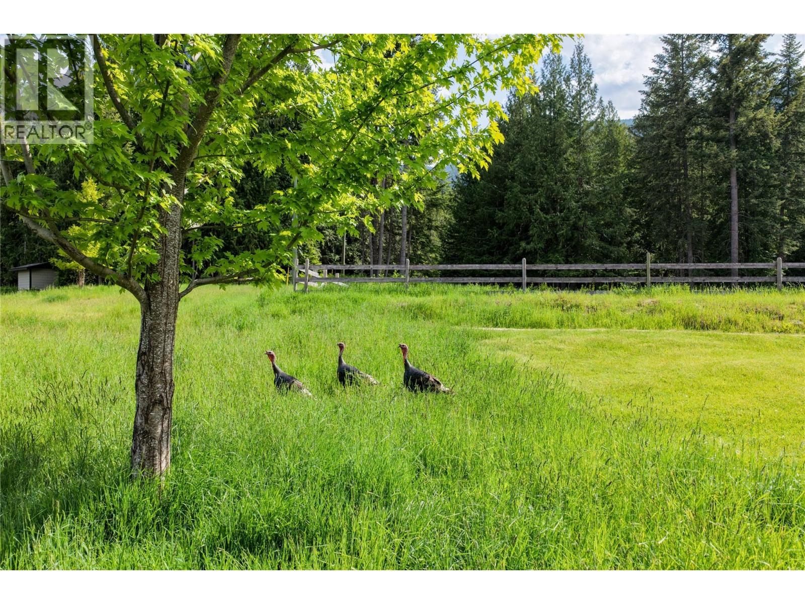 784 Lewis Road - 5