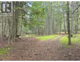784 Lewis Road, Harrop, BC V1L6P7 Photo 53
