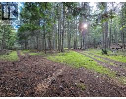 784 Lewis Road, Harrop, BC V1L6P7 Photo 54