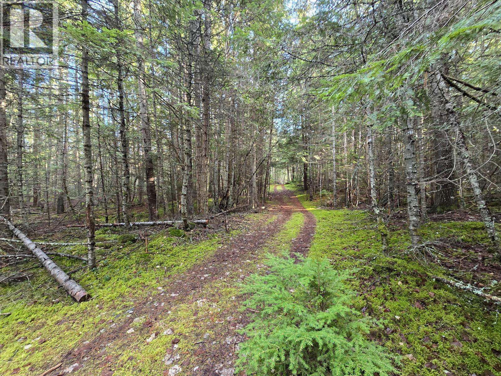 784 Lewis Road - 52
