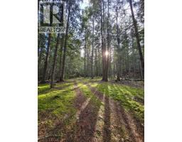 784 Lewis Road, Harrop, BC V1L6P7 Photo 50
