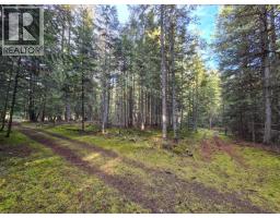 784 Lewis Road, Harrop, BC V1L6P7 Photo 51