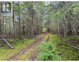 784 Lewis Road, Harrop, BC V1L6P7 Photo 52