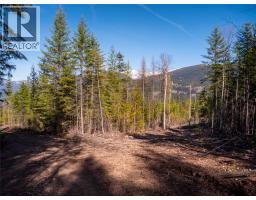 Dl 12488 Mckean Road, Appledale, BC V0G2J0 Photo 31