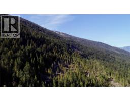 Dl 12488 Mckean Road, Appledale, BC V0G2J0 Photo 6