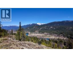 Dl 12488 Mckean Road, Appledale, BC V0G2J0 Photo 20