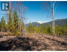Dl 12488 Mckean Road, Appledale, BC V0G2J0 Photo 28