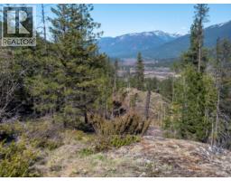 Dl 12488 Mckean Road, Appledale, BC V0G2J0 Photo 17