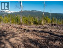 Dl 12488 Mckean Road, Appledale, BC V0G2J0 Photo 29