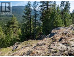 Dl 12488 Mckean Road, Appledale, BC V0G2J0 Photo 22