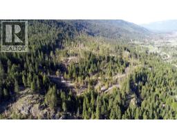 Dl 12488 Mckean Road, Appledale, BC V0G2J0 Photo 8