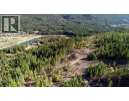 Dl 12488 Mckean Road, Appledale, BC V0G2J0 Photo 9
