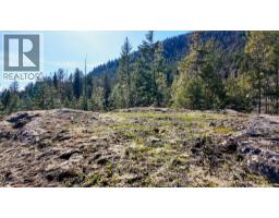 Dl 12488 Mckean Road, Appledale, BC V0G2J0 Photo 16