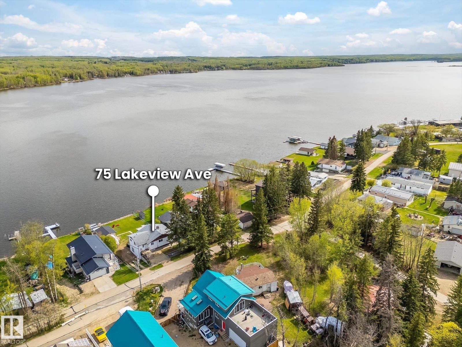 75 Lakeview Av South View - 8