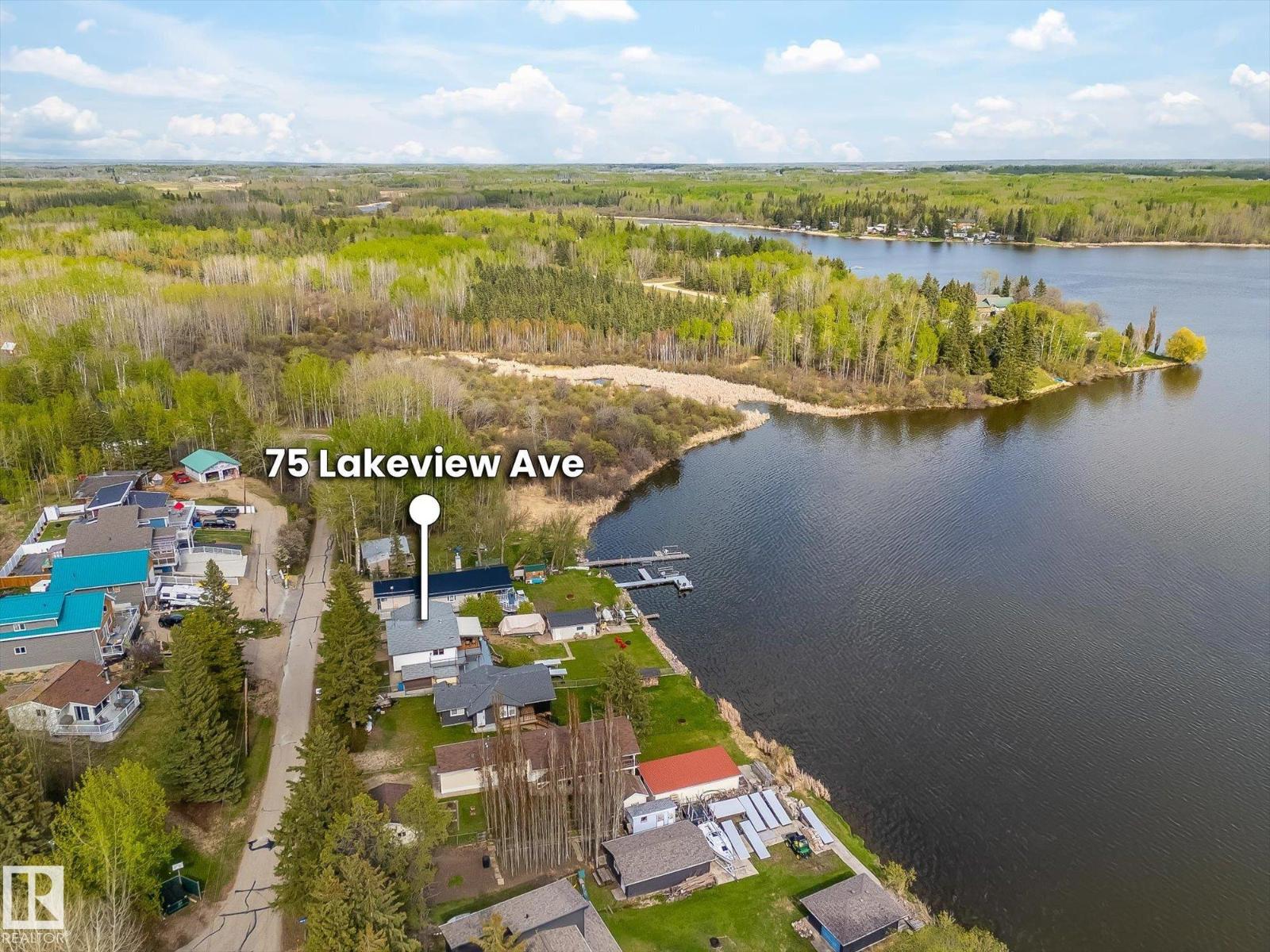 75 Lakeview Av South View - 10