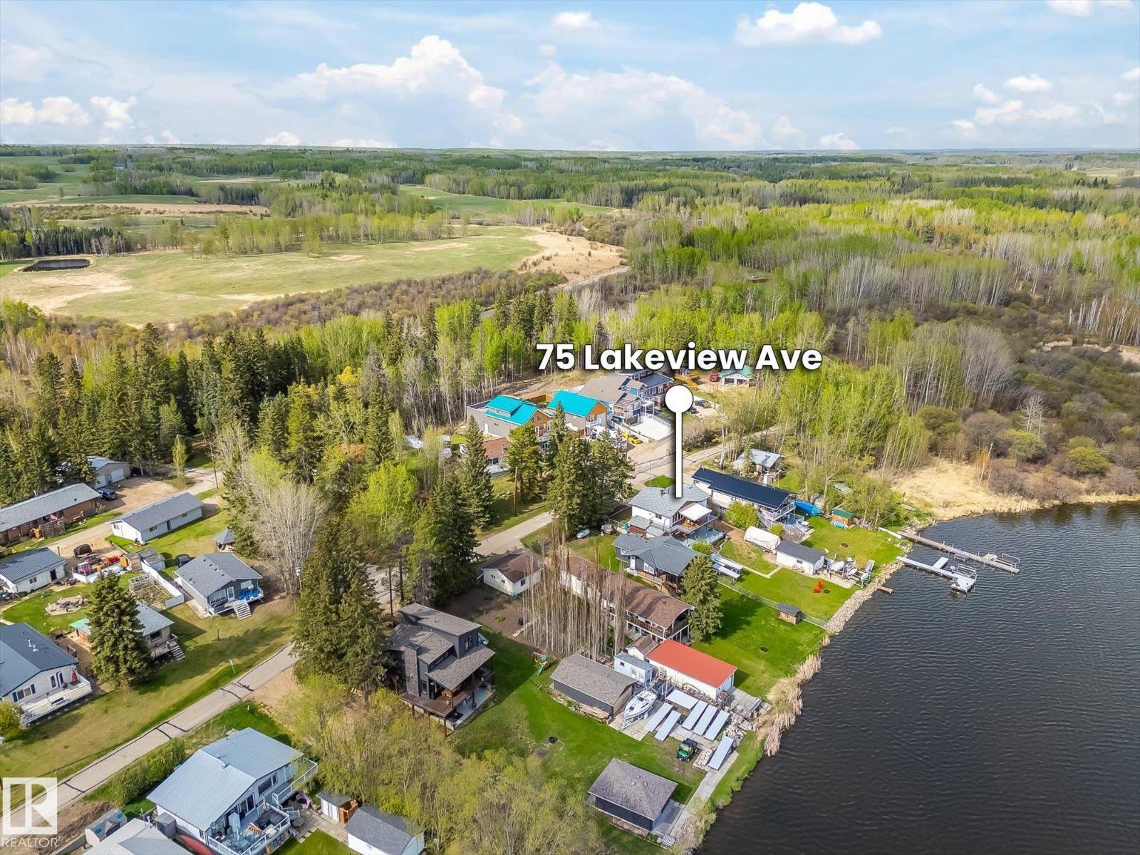 75 Lakeview Av South View - 11