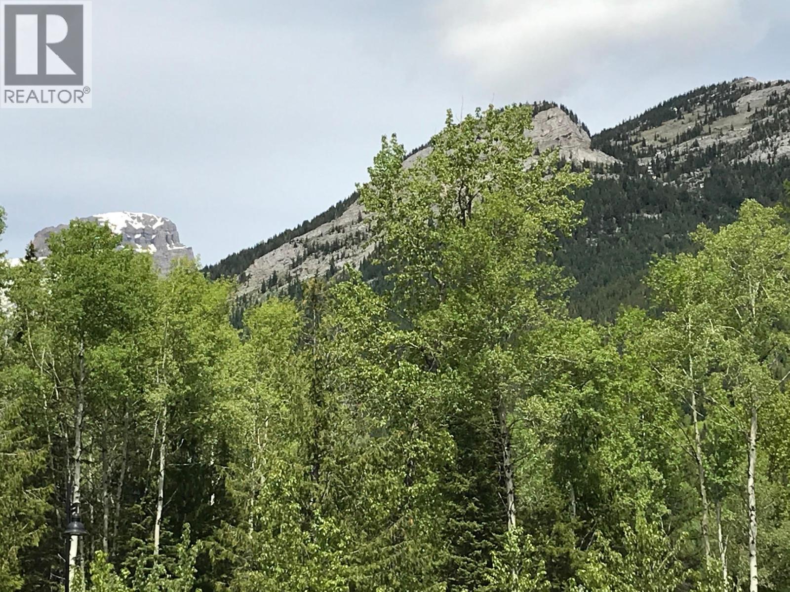 9 ALPINE TRAIL Place Unit# Lot 16, Fernie