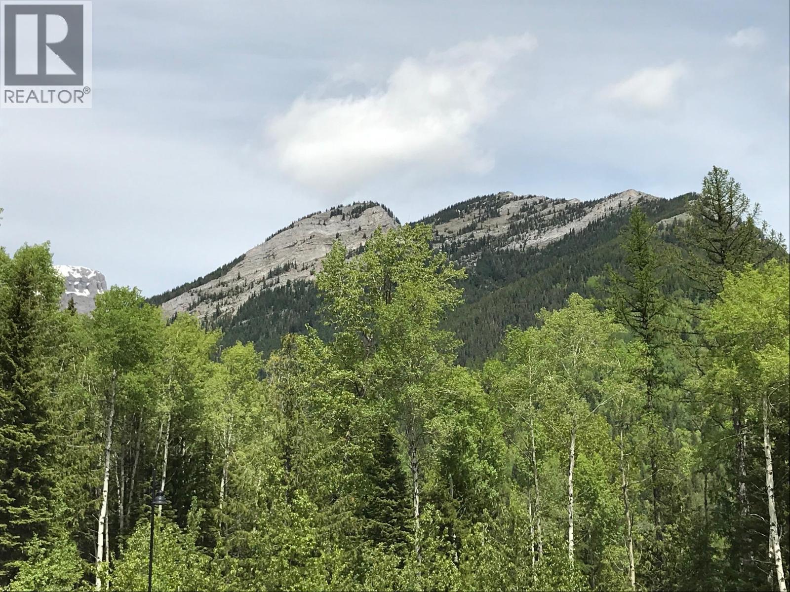 9 ALPINE TRAIL Place Unit# Lot 16, Fernie