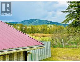 Laundry room - 1405 61 Street, Coleman, AB T0K0M0 Photo 8