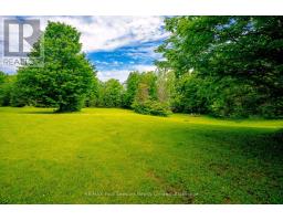 600072 50 Side Road S, Chatsworth, ON N0H1R0 Photo 38