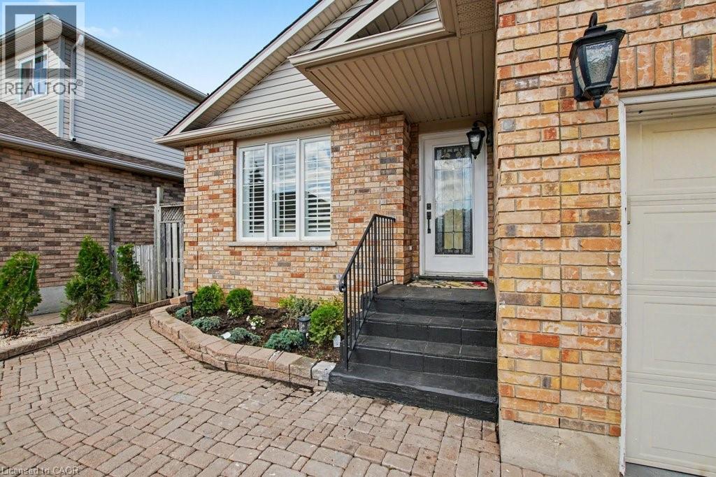 6 THEODORE Drive - 4