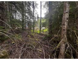 Sve25 Old Hope Princeton Highway, Sunshine Valley, Sunshine Valley, BC V0X1L5 Photo 11