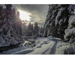 Sve25 Old Hope Princeton Highway, Sunshine Valley, Sunshine Valley, BC V0X1L5 Photo 17