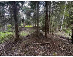 Sve25 Old Hope Princeton Highway, Sunshine Valley, Sunshine Valley, BC V0X1L5 Photo 16