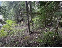 Sve25 Old Hope Princeton Highway, Sunshine Valley, Sunshine Valley, BC V0X1L5 Photo 13