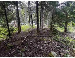 Sve25 Old Hope Princeton Highway, Sunshine Valley, Sunshine Valley, BC V0X1L5 Photo 14