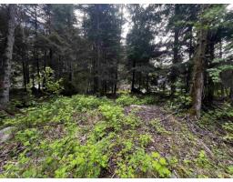 Sve25 Old Hope Princeton Highway, Sunshine Valley, Sunshine Valley, BC V0X1L5 Photo 6