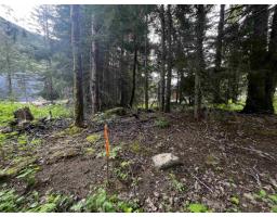 Sve25 Old Hope Princeton Highway, Sunshine Valley, Sunshine Valley, BC V0X1L5 Photo 8