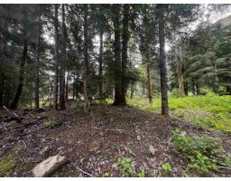 Sve25 Old Hope Princeton Highway, Sunshine Valley, Sunshine Valley, BC V0X1L5 Photo 9