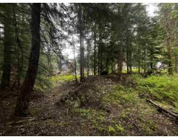 Sve25 Old Hope Princeton Highway, Sunshine Valley, Sunshine Valley, BC V0X1L5 Photo 10