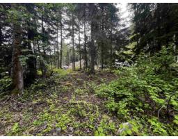 Sve25 Old Hope Princeton Highway, Sunshine Valley, Sunshine Valley, BC V0X1L5 Photo 7