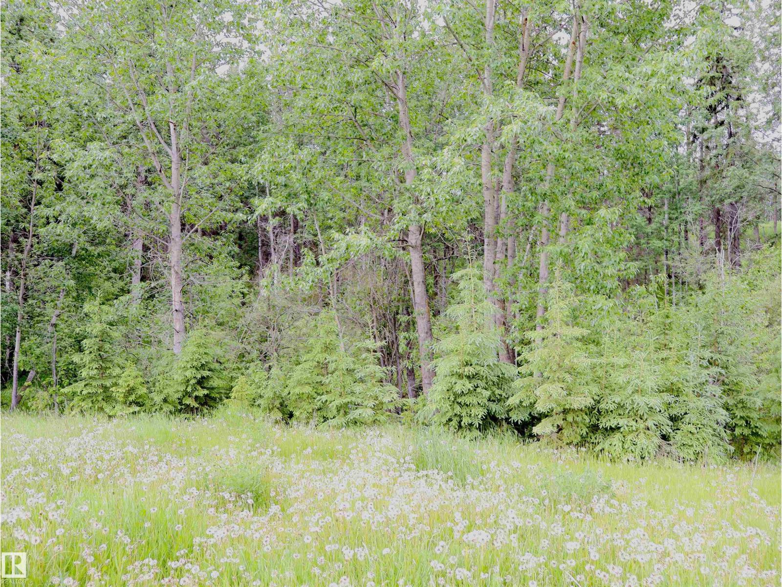 58403 RR 60 — photo 31