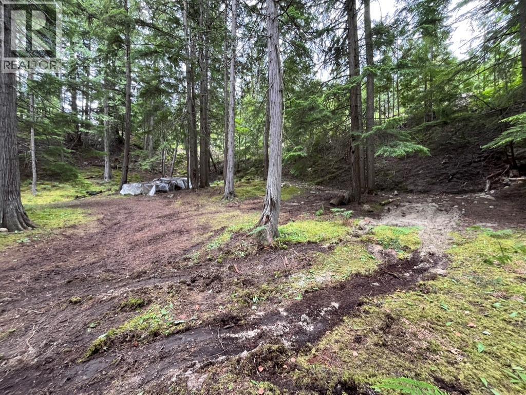 8254 PROCTER EAST Road - 39