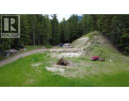 8254 Procter East Road, Procter, BC V1L0B6 Photo 36