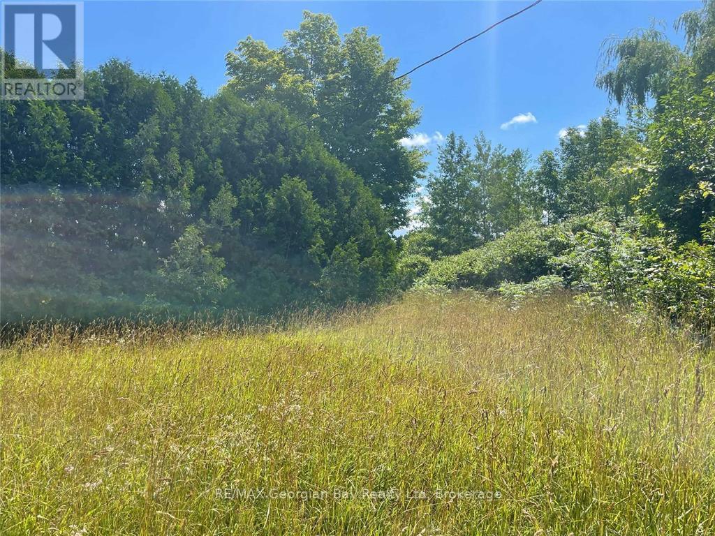 6950 COUNTY RD 93 ROAD - Image 3