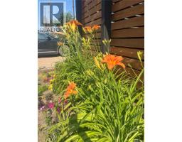 450 6th Street, Craik, SK S0G0V0 Photo 33