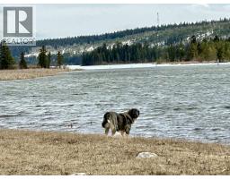 3364 Cariboo 97 Highway, Lac La Hache, BC V0K1T1 Photo 17