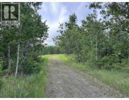 3364 Cariboo 97 Highway, Lac La Hache, BC V0K1T1 Photo 13
