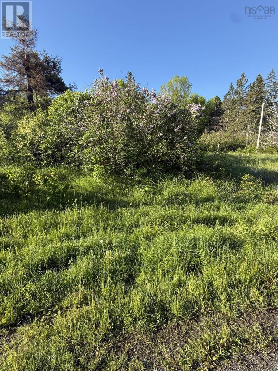 Property 3 of 7 of 21 acres JIMTOWN ROAD, ANTIGONISH HARBOUR, N.S.