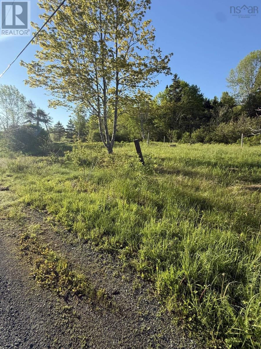 Property 5 of 7 of 21 acres JIMTOWN ROAD, ANTIGONISH HARBOUR, N.S.