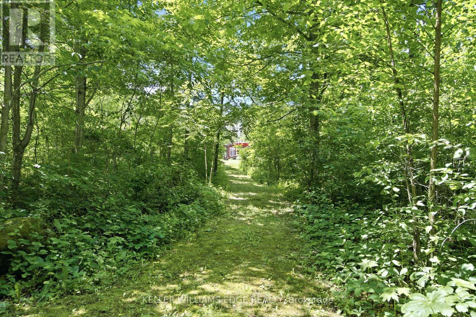 484 11TH CONCESSION ROAD E - 46