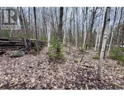 1876 Alsace Road, Nipissing, ON P0H1Z0 Photo 11
