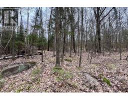 1876 Alsace Road, Nipissing, ON P0H1Z0 Photo 19