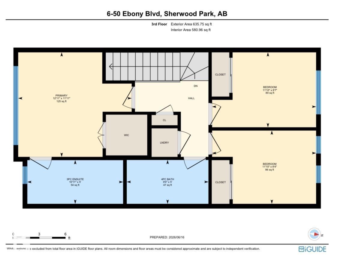 #6 50 Ebony BV — photo 41