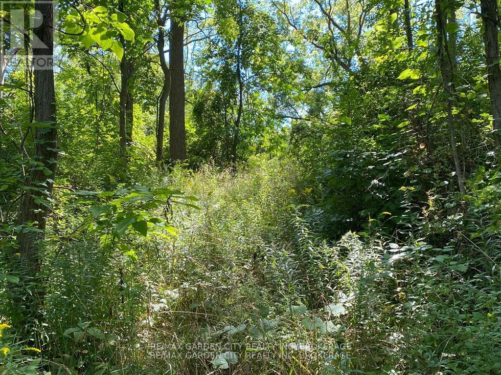 Pt Lt 3 Effingham Street — photo 7