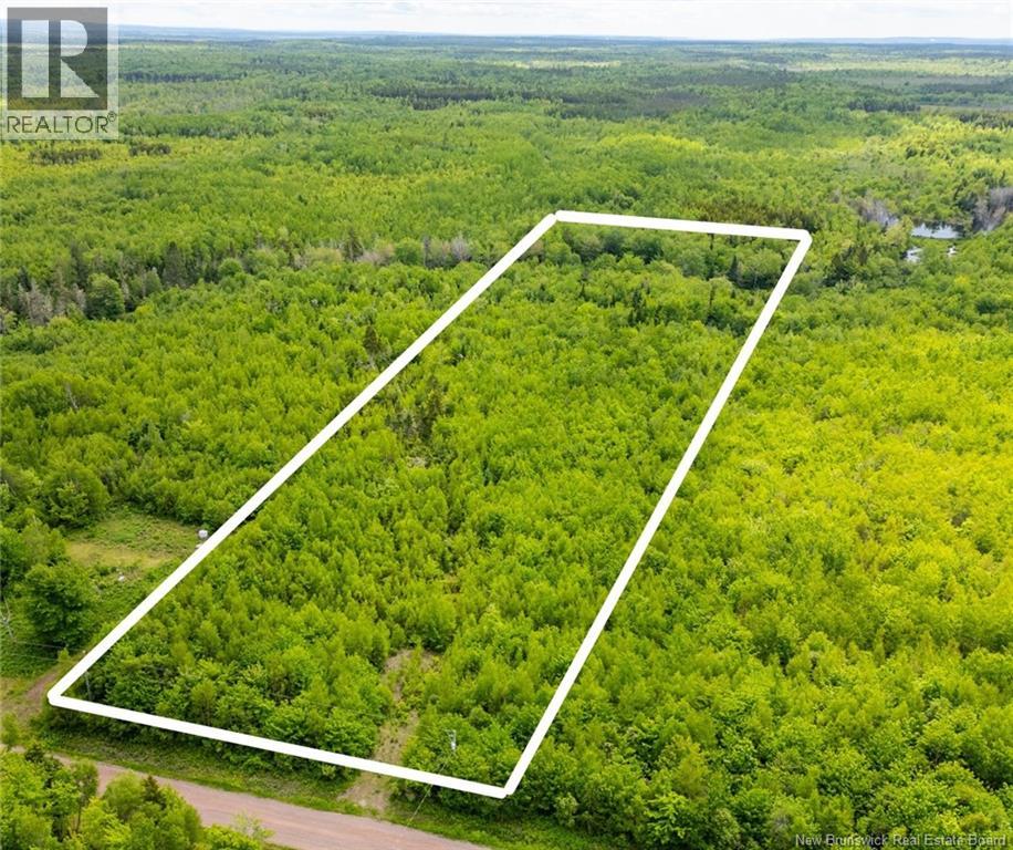 Property Lines are Approximate